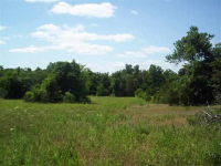  Lots 3 & 4 Summerwind Court Ct, Mountain Home, AR 6438393