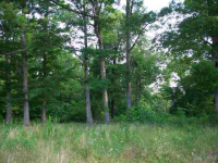  000 Hwy 62 East, Mountain Home, AR 6438516