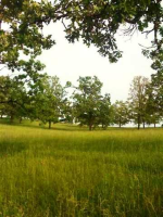  Tract A Oak Valley Lane Ln, Mountain Home, AR 6438534