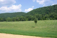  Lot 1 Plane Tree Lane, Mountain Home, AR 6438564