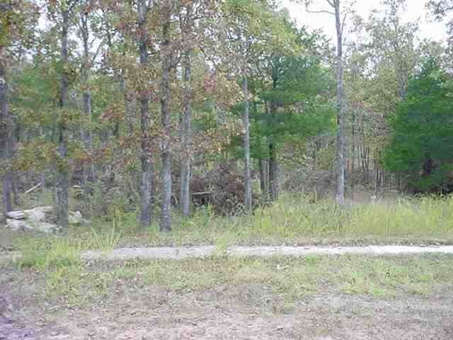  Lot 30 Spring Street St, Mountain Home, AR photo