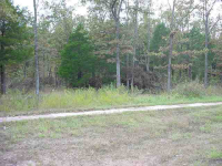  Lot 30 Spring Street St, Mountain Home, AR 6438709