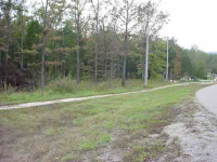  Lot 30 Spring Street St, Mountain Home, AR 6438710