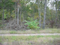  Lot 30 Spring Street St, Mountain Home, AR 6438708