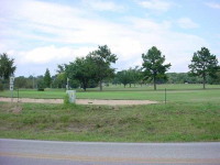  Lot 30 Spring Street St, Mountain Home, AR 6438714