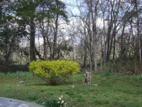  942 England Cemetery Rd., Mammoth Spring, AR 6453150