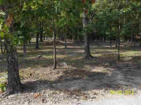 390 Cooper Point, Mountain View, AR 6453218