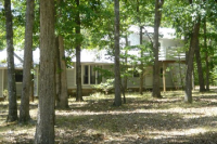  773 Brown Camp Road, Mountain View, AR 6453234