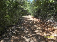  000 cedar creek road, Mountain View, AR 6453400