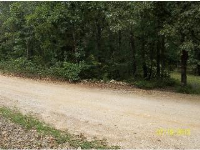  000 Cook road, Mountain View, AR 6453439
