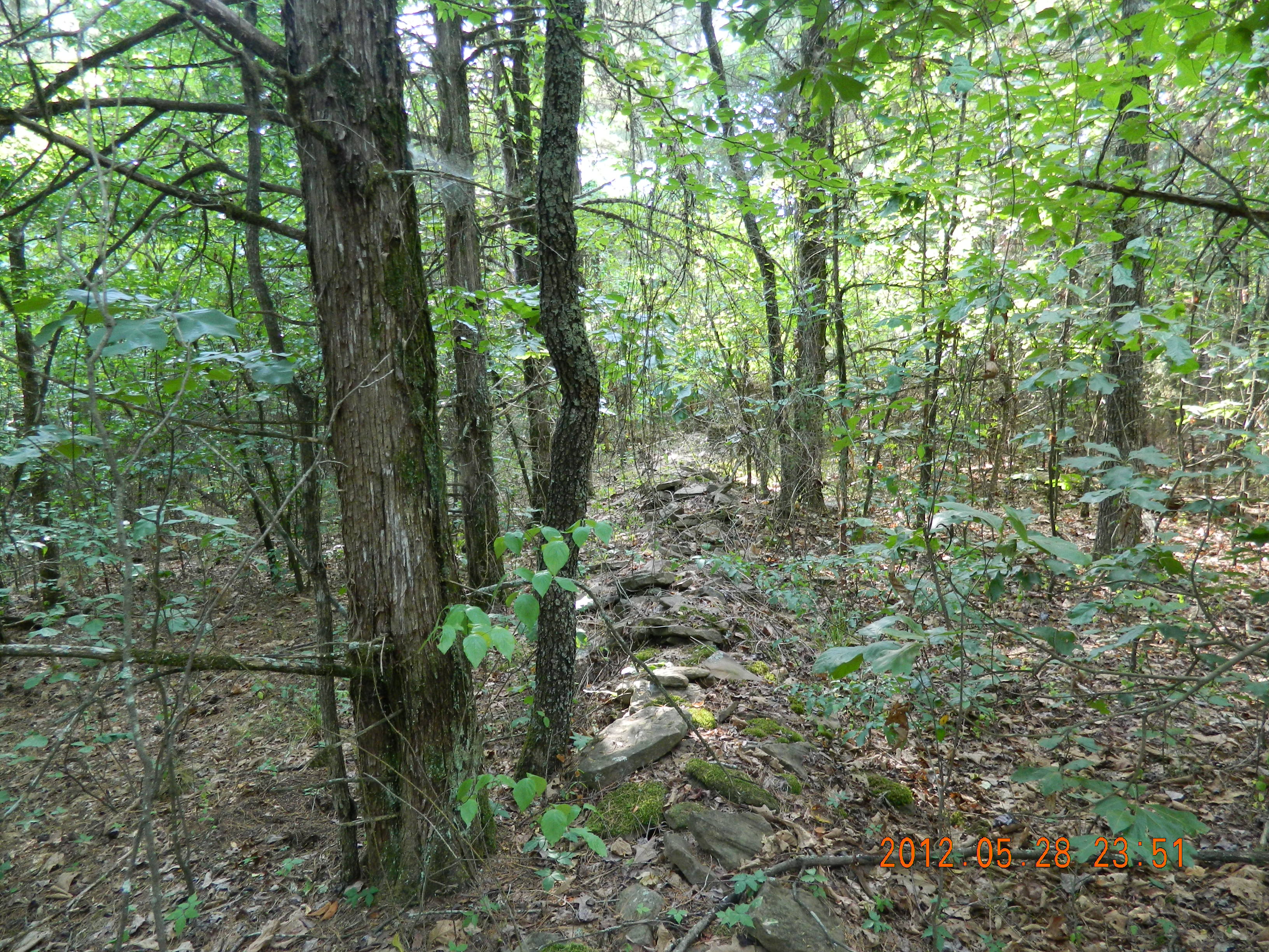  40 acres off Hwy 164, Hagarville, AR photo