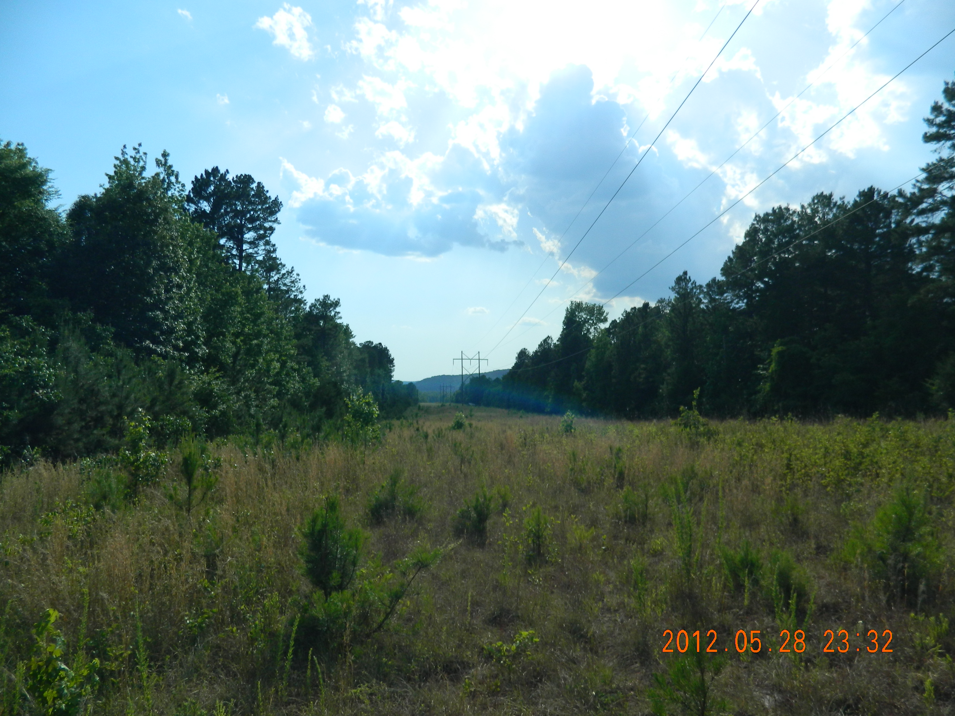  20 acres Off Hwy 164, Hagarville, AR photo