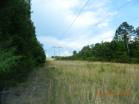  20 acres Off Hwy 164, Hagarville, AR 6462807