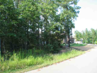  23 Asombroso Ln, Hot Springs Village, AR 7706634