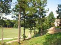  23 Asombroso Ln, Hot Springs Village, AR 7706644