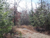  6 Falcon Ridge Trail, Jessieville, AR 7709208