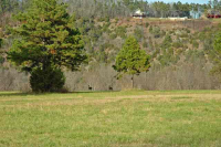  405 County Road 101, Norfork, AR 7985127