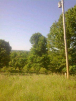  County Road 485, Mountain Home, AR 7985774