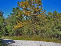  Lot 28 County Road 1084, Midway, AR 7986319