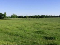  803 Peace Valley Road, Ash Flat, AR 8091243