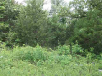  Lot 10 County Road 274, Mountain Home, AR 8716021