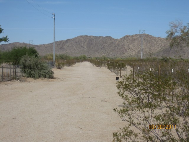  Desert Valley And Up, Maricopa, AZ photo
