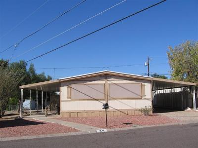  10401 N. Cave Creek Rd., #28, Phoenix, AZ photo