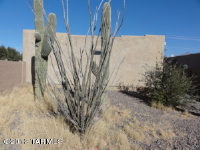  830 E Limberlost Dr, Tucson, Arizona  4578463