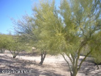  11106 N Desert Flower Dr, Tucson, Arizona  4584815