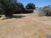  14826 N 38th Street, Phoenix, AZ 5461343