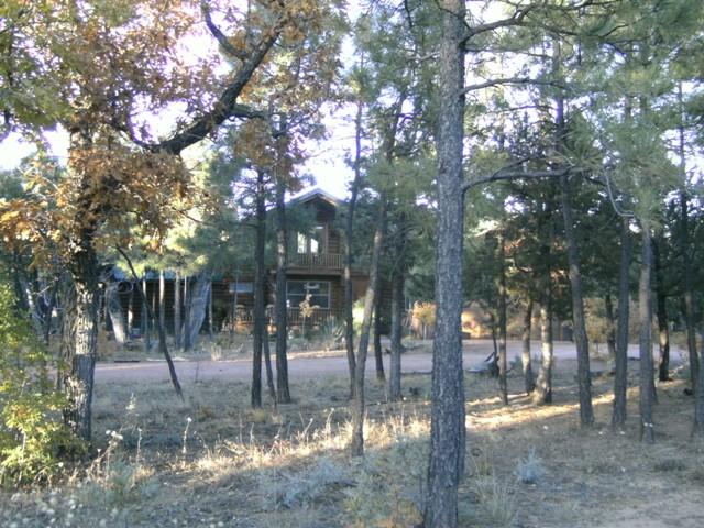  3280 Blazingstar Road, Show Low, AZ photo