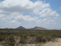  946 W Cholla Trail, Tombstone, AZ 5814119