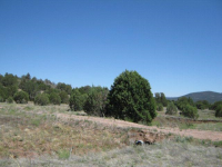  Lot 11G N. Winchester, Young, AZ 6477948