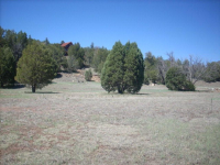  825 W Elk Song Trail, Young, AZ 6477953