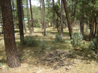  Lot 244 Tonto Village 3, Mesa, AZ 7035489