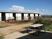 9595 S Kings Ranch, Hereford, AZ 7337022
