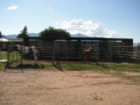  9595 S Kings Ranch, Hereford, AZ 7337023