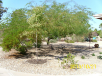  12815 N 61st Place, Scottsdale, AZ 7346007