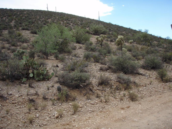  6175 W Hidden Hills, Tucson, AZ photo