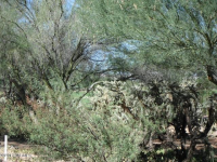  2383 E Desert Pueblo Pass, Green Valley, AZ 7949190