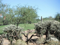  2383 E Desert Pueblo Pass, Green Valley, AZ 7949200