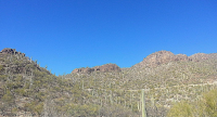  6555 N Thimble Pass N, Tucson, AZ 8115322