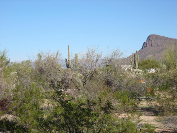  10760 W Rudasill, Tucson, AZ photo