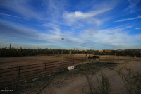  35023 S Coyotes, Marana, AZ 8799557
