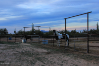  35023 S Coyotes, Marana, AZ 8799558