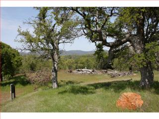  10151 Piney Creek Rd, Coulterville, CA photo