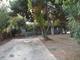  231 Justine Ave, Reedley, CA photo