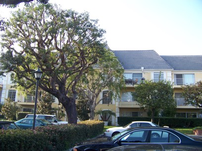  500 Cagney Lane 101, Newport Beach, CA photo