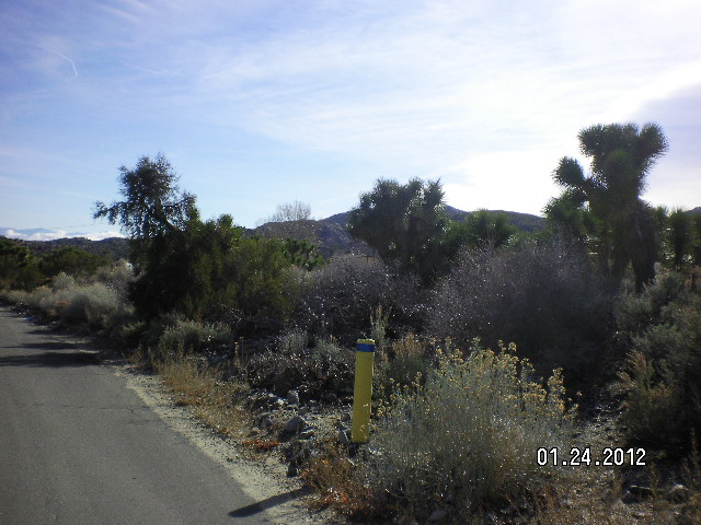  306554 Apn, Pinon Hills, CA photo