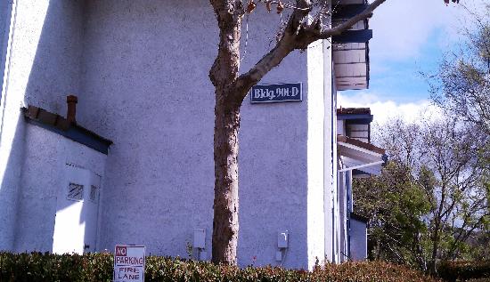  901 Golden Springs Drive Unit D-4, Diamond Bar, CA photo